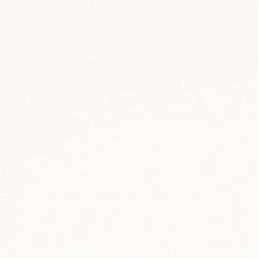 Кварцовий камінь Dijon 1000 – світло-бежевий кварц